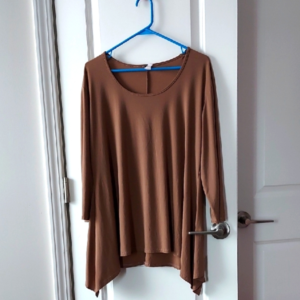 Ashley BlueWomen's Brown Tunic Top 3xl